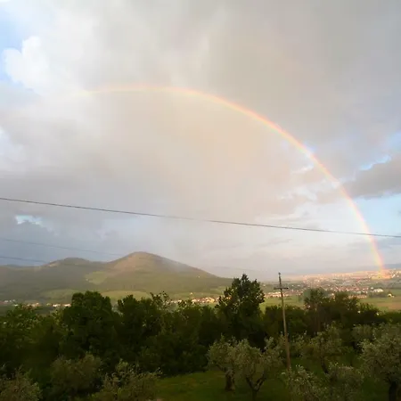 Borgo Della Rocca * Монтемурло
