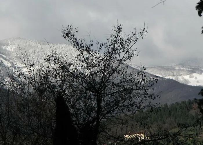 Borgo Della Rocca Frühstückspension Montemurlo